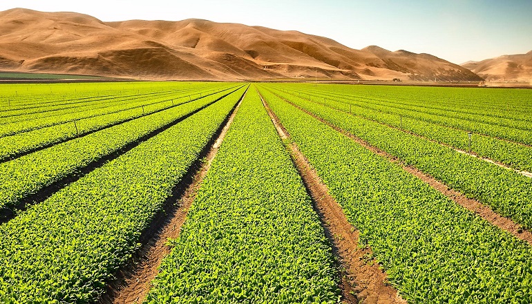 Asaja Clm Pide A Los Diputados Que Prioricen A Los Agricultores Y A La Poblacion Rural Frente A Cualquier Otro Interes Politico O Ideologico Calatrava Digital